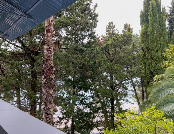 ЛЮКС 2-МЕСТНЫЙ 2-КОМНАТНЫЙ - Отель «Жоэквара» Гагра