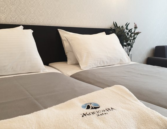 СТАНДАРТНЫЙ 2-МЕСТНЫЙ КОМФОРТ (БЕЗ БАЛКОНА) - Отель «Жоэквара» Гагра