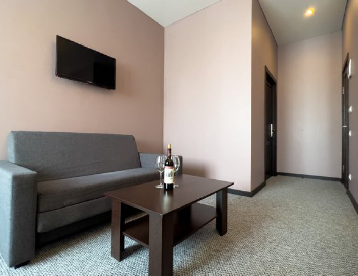 СТУДИЯ 2-МЕСТНЫЙ 1-КОМНАТНЫЙ (БЕЗ БАЛКОНА) - Отель «Жоэквара» Гагра