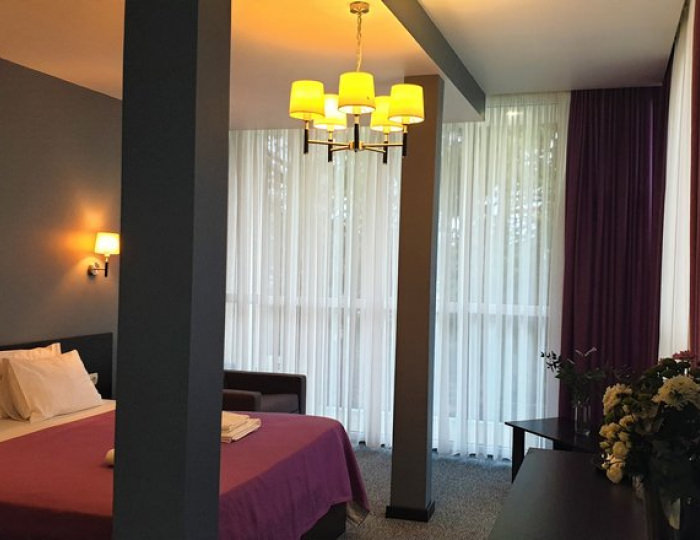 СТУДИЯ 2-МЕСТНЫЙ 1-КОМНАТНЫЙ (С БАЛКОНОМ) - Отель «Жоэквара» Гагра